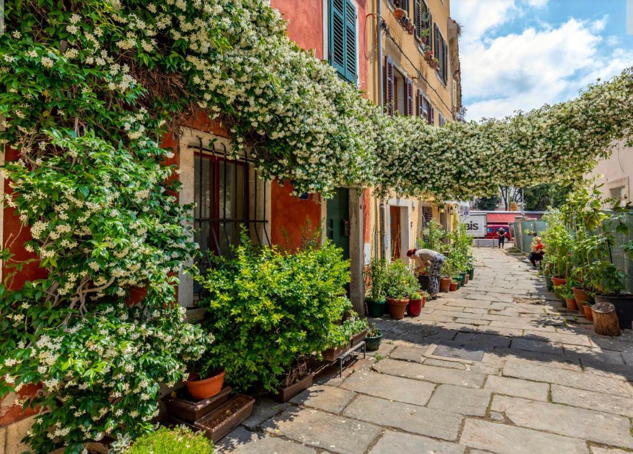 Alighieri Unique Apartment Pula Bagian luar foto